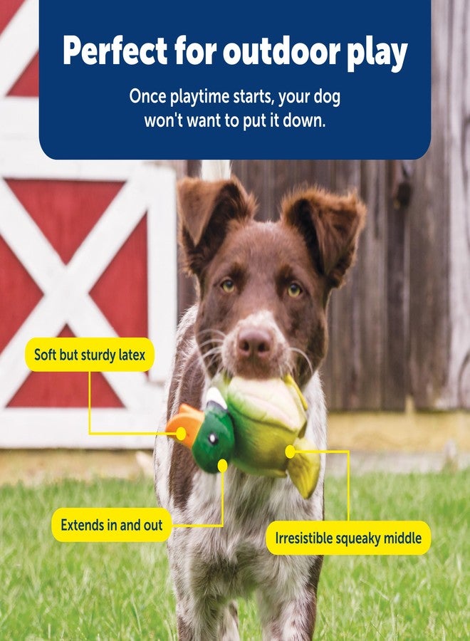 بيت سيف لعبة PetSafe Busy Buddy Latex Squeeze Meeze Raccoon، لعبة ضغط ممتعة للكلاب مع صفارة - بطة - Image 5